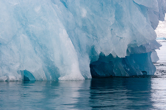 Arctic Adventure