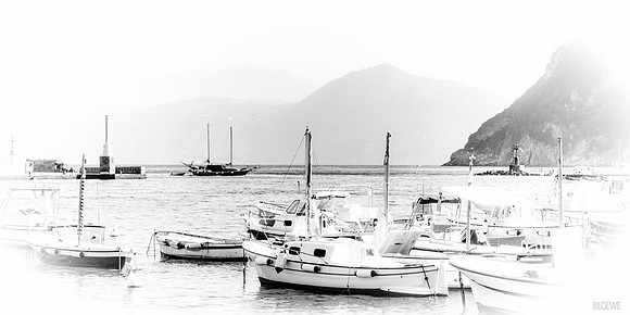 Capri Harbor