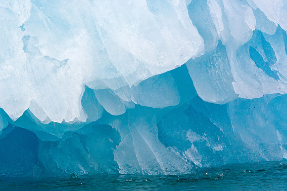 Arctic Adventure