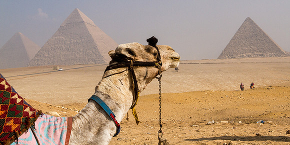 Giza, Great Pyramid, Sphinx, Acheology Dig-54