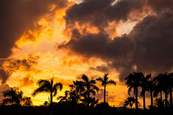 A Fire in the Sky