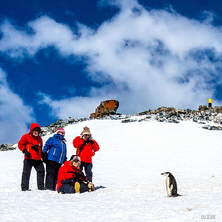 Penguin Encounter