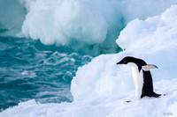4 Things I learned from National Geographic