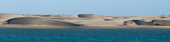 Baja - Magdalena Bay-3407