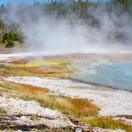 Yellowstone Mists