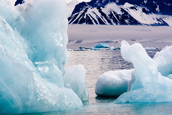 Arctic Adventure