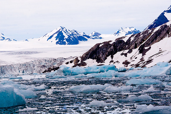 Arctic Adventure
