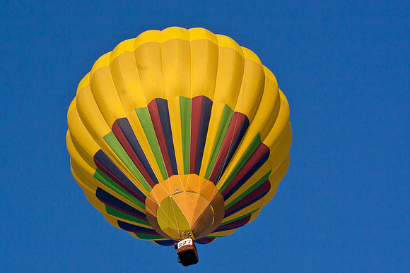 Balloon Fiesta 2010