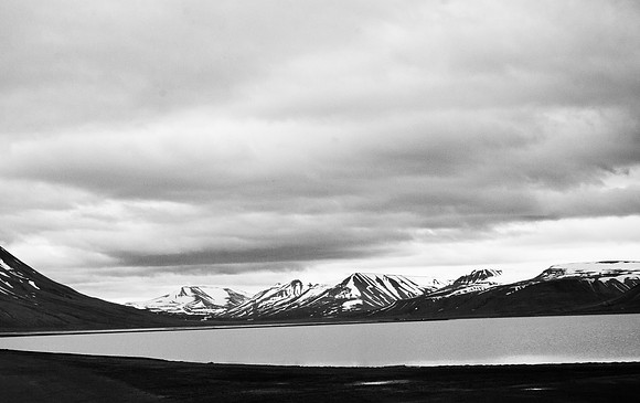 Arctic Adventure