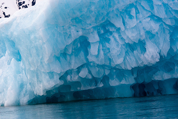 Arctic Adventure