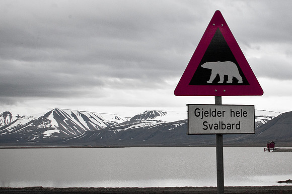 Arctic Adventure