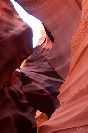 Antelope Canyon 2009