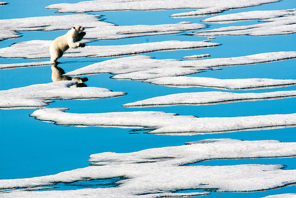 Arctic Adventure
