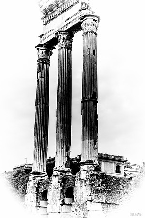 the Forum