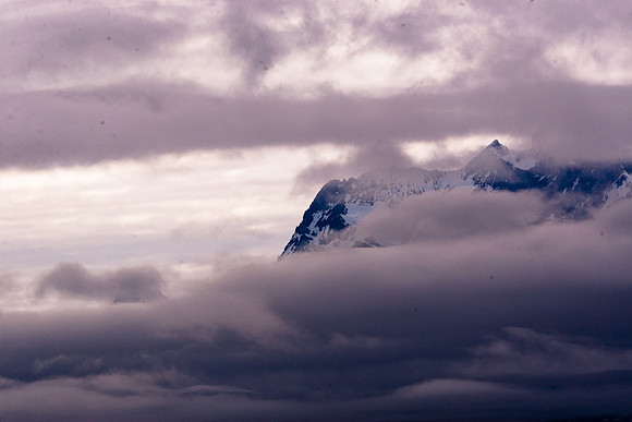 Arctic Adventure