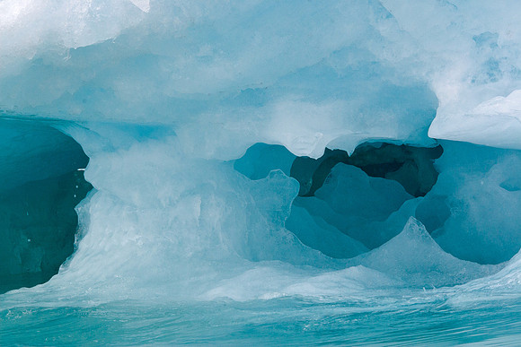 Arctic Adventure