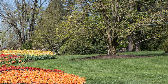 20130427-094154-422B0263