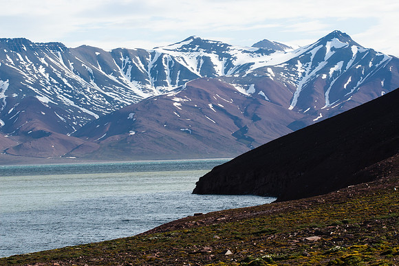 Arctic Adventure