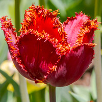 Signs of Spring