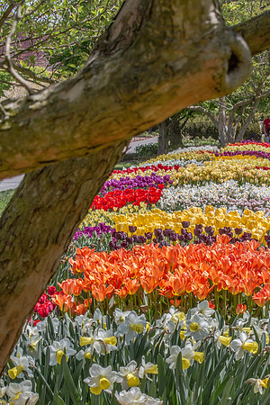 20130427-120712-_MG_3347