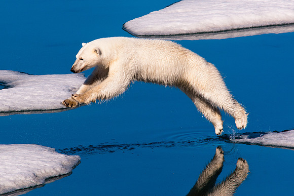 Arctic Adventure