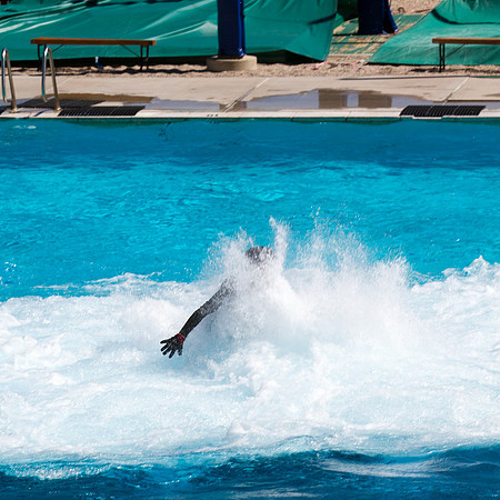 Future Olympian? 11