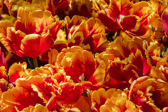 20130427-120333-_MG_3343