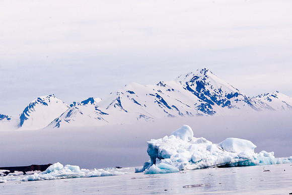 Arctic Adventure