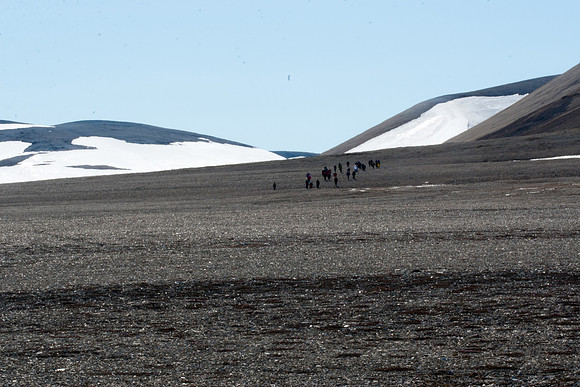 Arctic Adventure