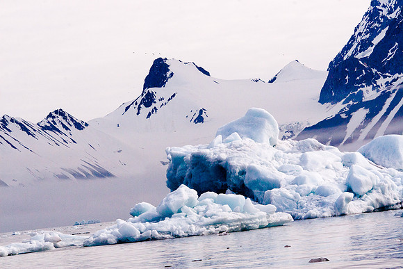 Arctic Adventure