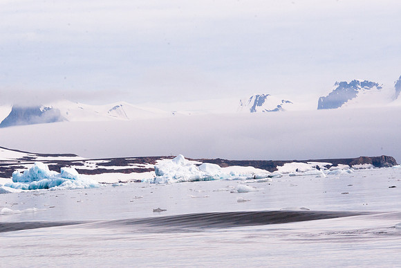 Arctic Adventure