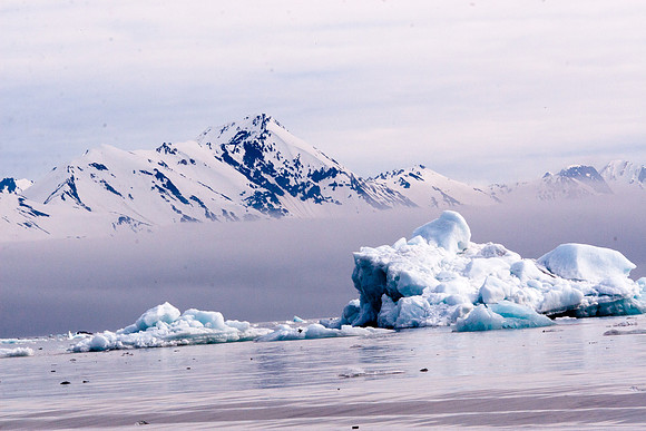 Arctic Adventure