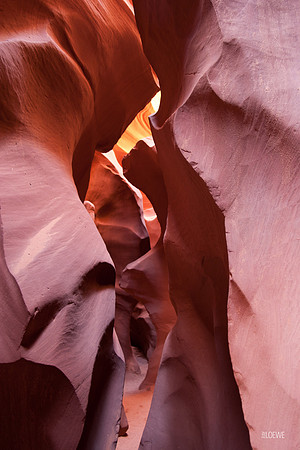 Antelope Canyon 2009