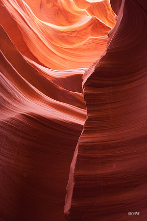 Antelope Canyon 2009