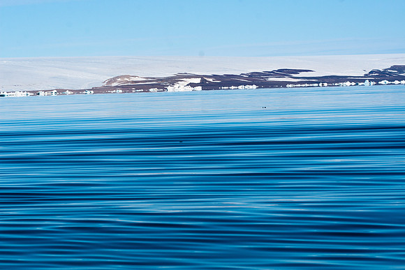 Arctic Adventure