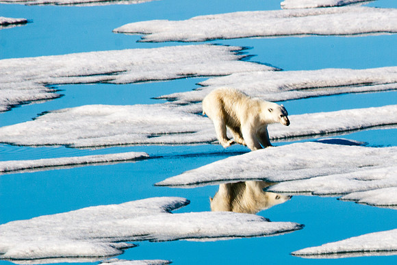 Arctic Adventure