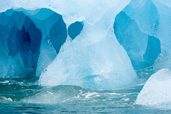 Arctic Adventure