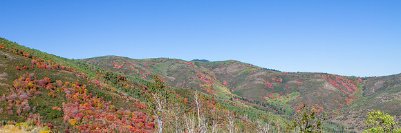 A Hint of Autumn