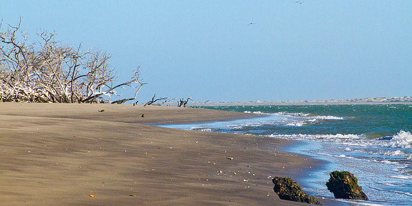 Tranquility Beach